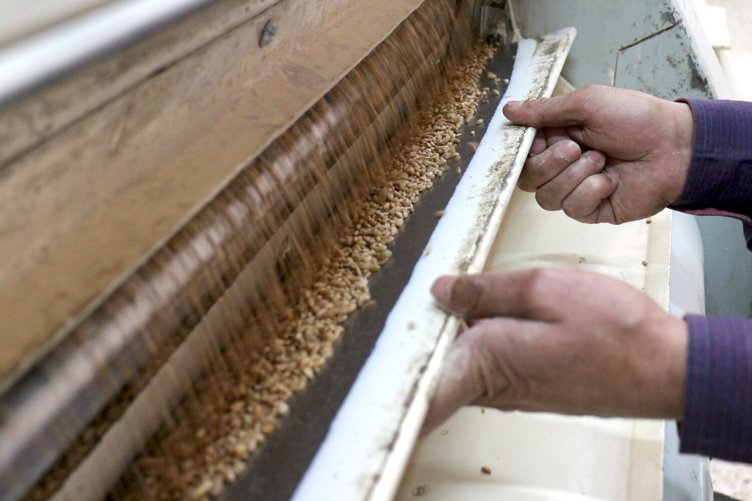 Photo: Jordi Vaque/FAO