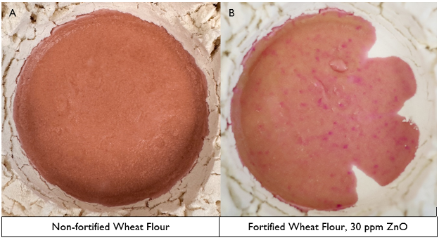 Zinc spot test comparison between fortified and non-fortified wheat flour